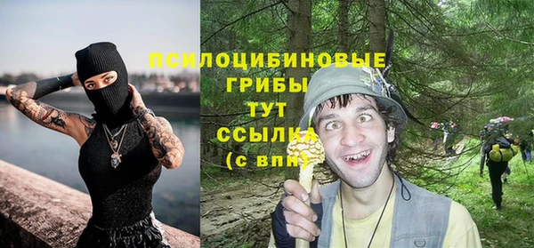 MDMA Медногорск
