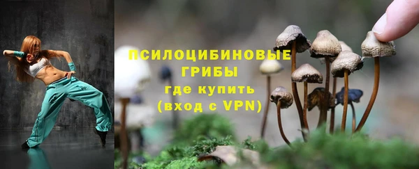 соль курить ск Медвежьегорск