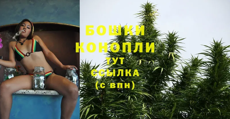 цена   Берёзовка  Каннабис Bruce Banner 